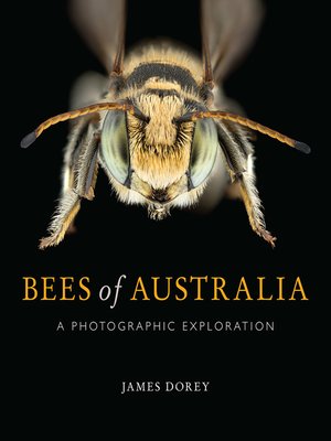cover image of Bees of Australia